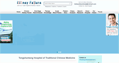 Desktop Screenshot of kidneyfailureweb.com